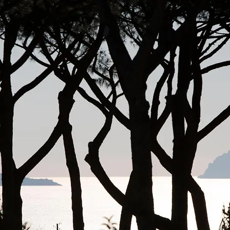 Pachamama Boscotrecase