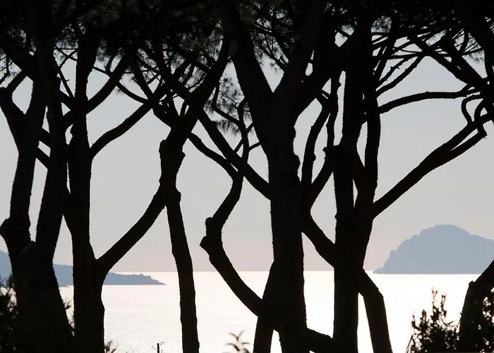 Pachamama Boscotrecase